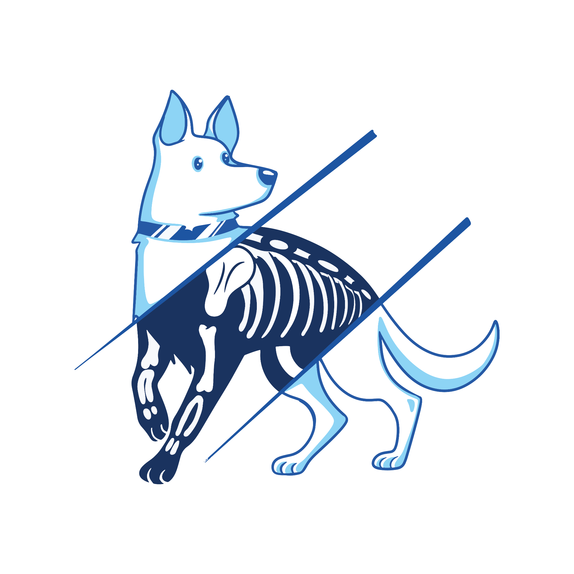 Ortho for Pets